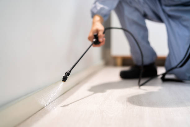 Certified termite inspector examining foundation in La Mirada