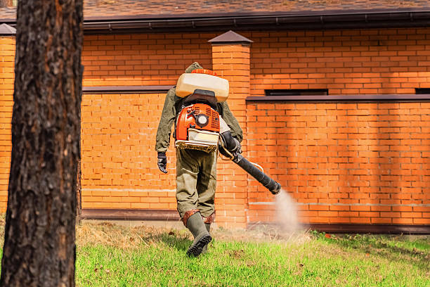 Bed Bug Clearance Verification and Documentation in La Mirada